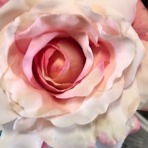 Meet your Posher, Martha